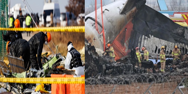 Güney Kore’deki Uçak Kazasının Gizemi Çözüldü